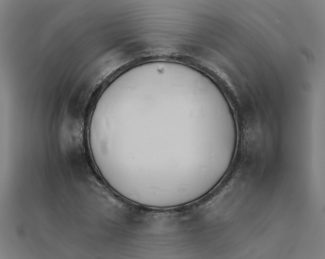 X0000111230778200907301245
