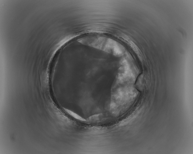 X0000111230779200907301245