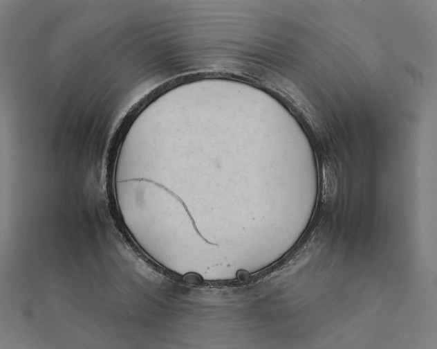 X0000111230780200907301245