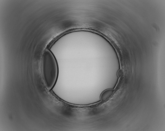 X0000111230781200907301245