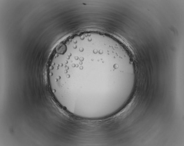 X0000111230782200907301245