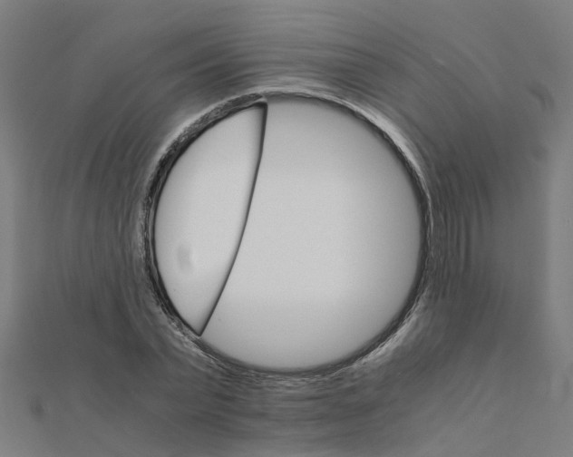 X0000111230783200907301245