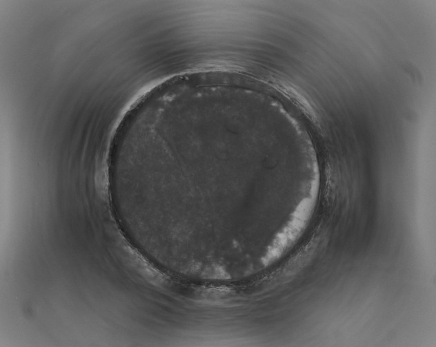 X0000111230784200907301245