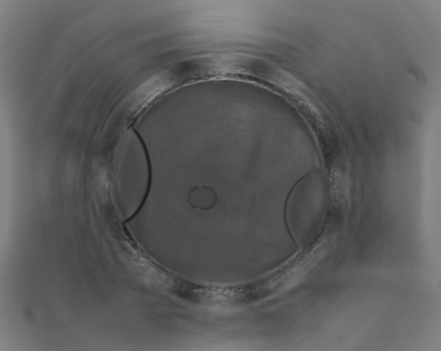 X0000111230785200907301245