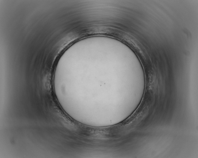 X0000111230786200907301245