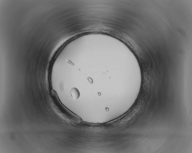 X0000111230788200907301245