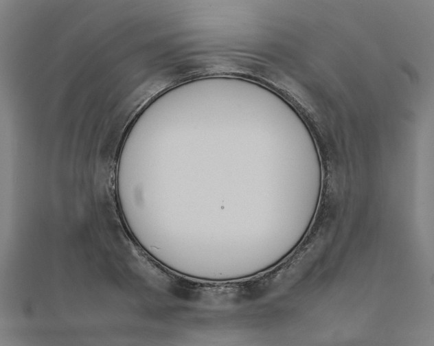 X0000111230793200907301245