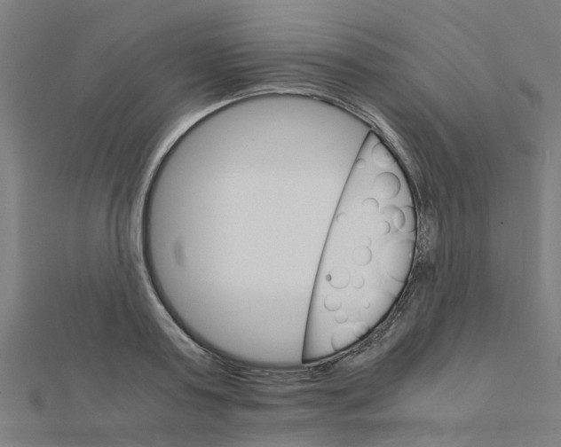 X0000111230795200907301245