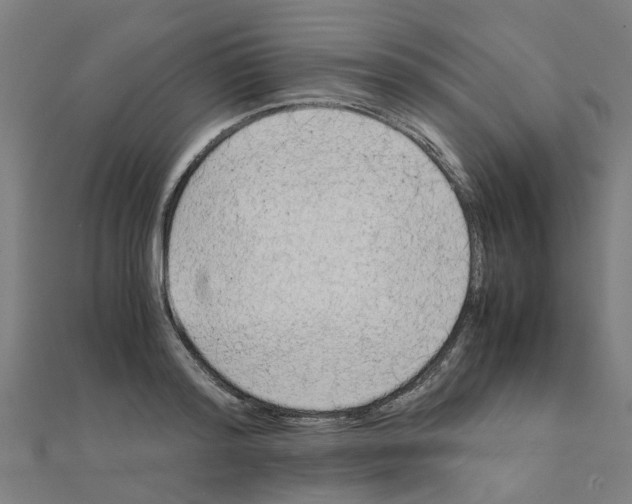 X0000111230796200907301245