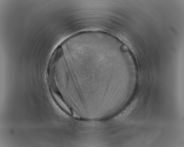 X0000111230797200907301245