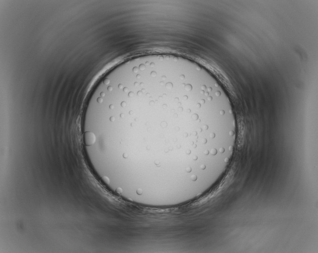 X0000111230798200907301245
