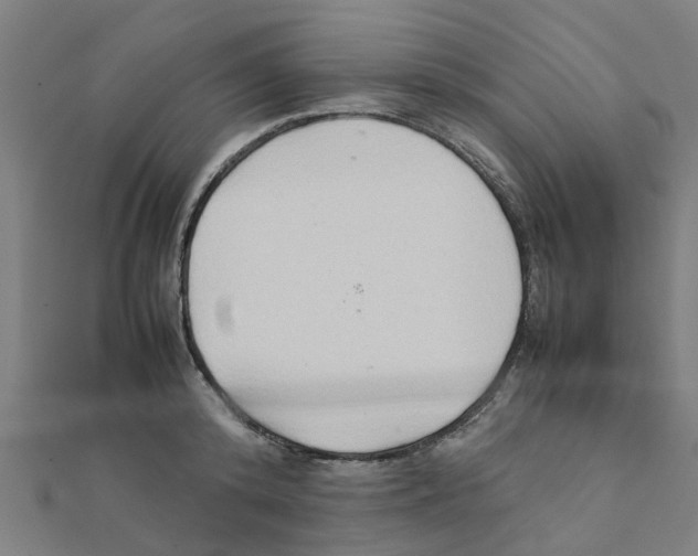 X0000111230800200907301245