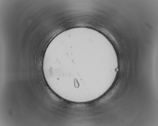 X0000111230801200907301245