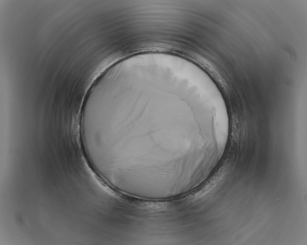 X0000111230802200907301245