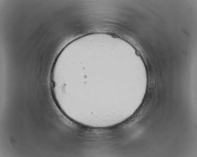 X0000111230803200907301245
