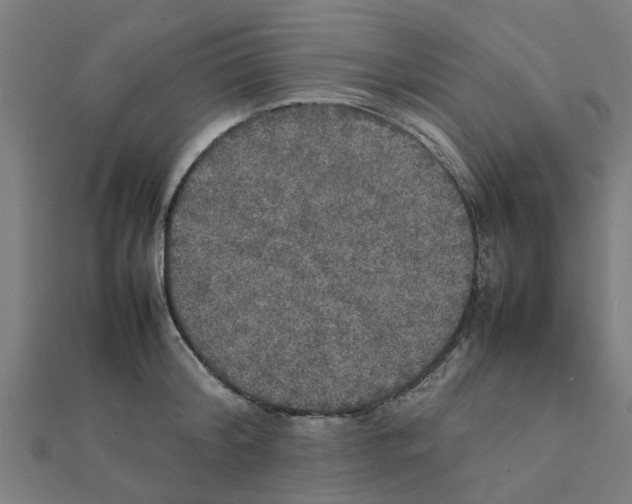 X0000111230804200907301245