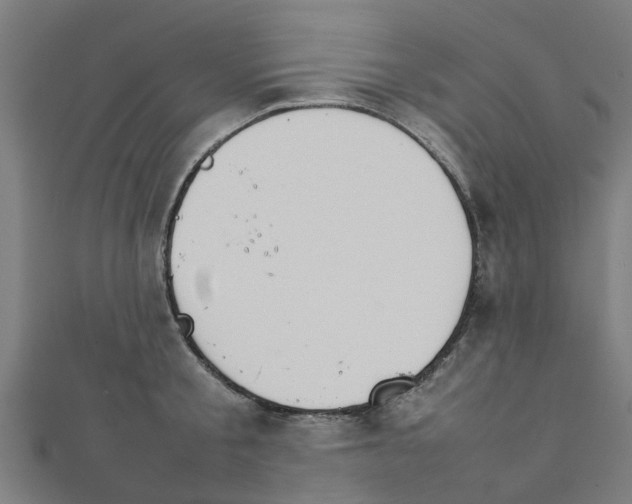 X0000111230805200907301245