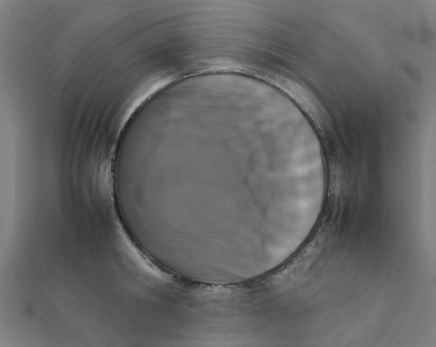 X0000111230806200907301245