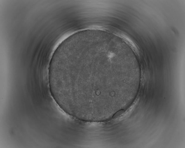 X0000111230808200907301245