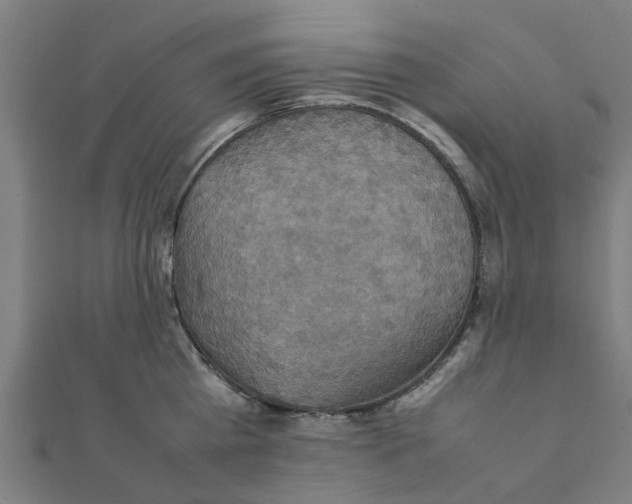 X0000111230809200907301245