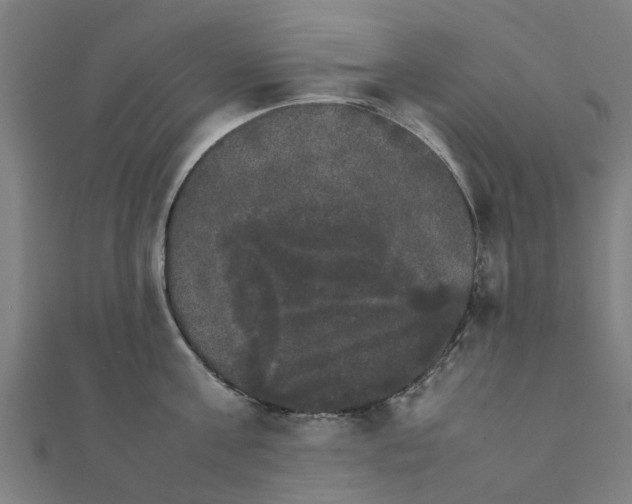 X0000111230811200907301245