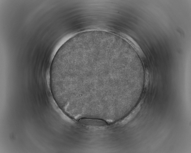 X0000111230812200907301245