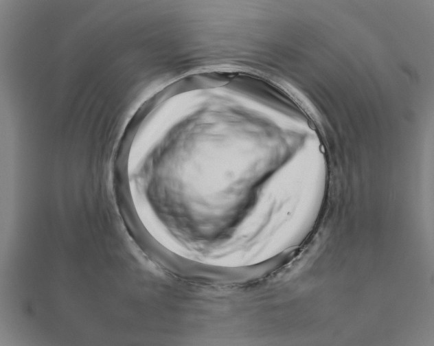X0000111230813200907301245