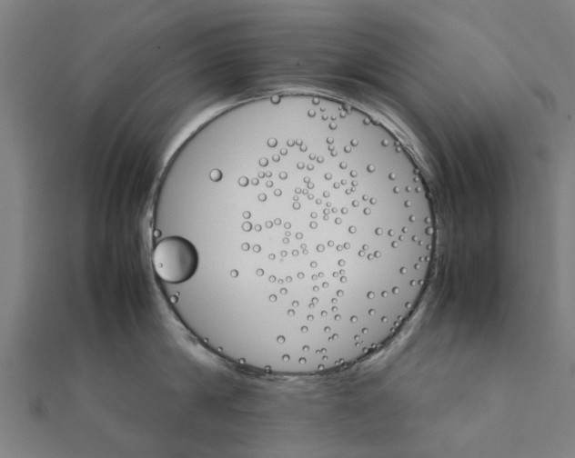 X0000111230814200907301245