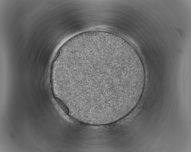 X0000111230816200907301244