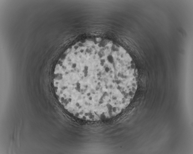 X0000111230817200907301244
