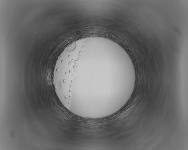 X0000111230818200907301244