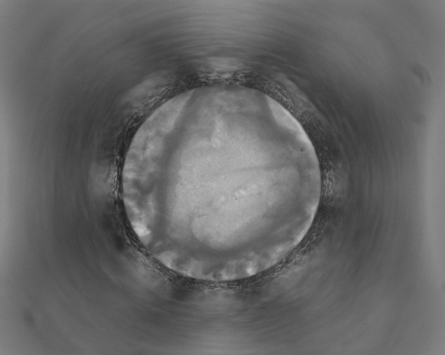X0000111230820200907301244