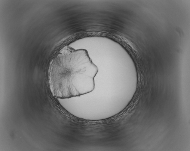 X0000111230821200907301244
