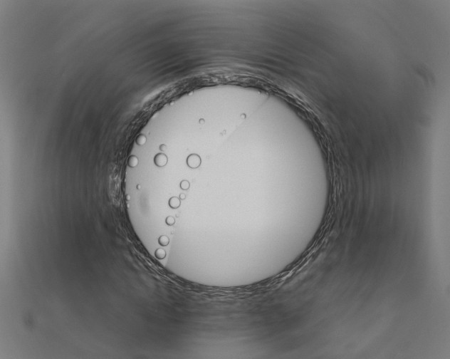 X0000111230822200907301244