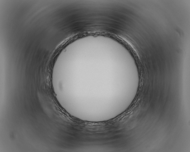 X0000111230823200907301244
