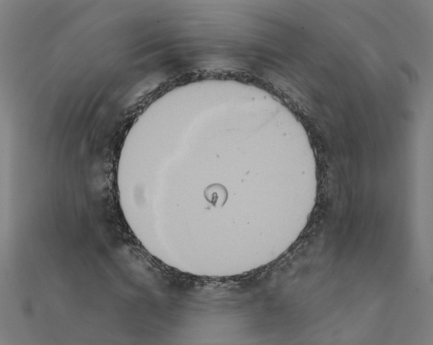 X0000111230824200907301244