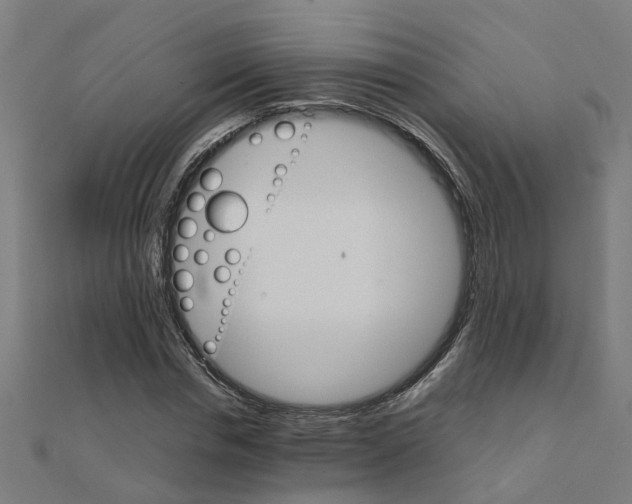 X0000111230826200907301244