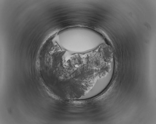 X0000111230827200907301244