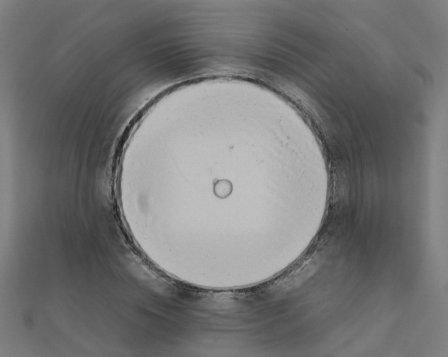 X0000111230828200907301244
