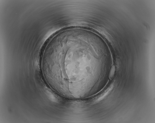 X0000111230830200907301244