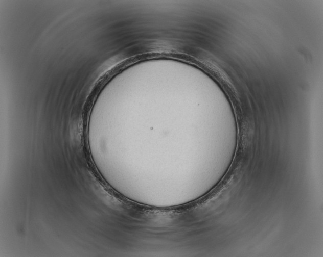 X0000111230831200907301244