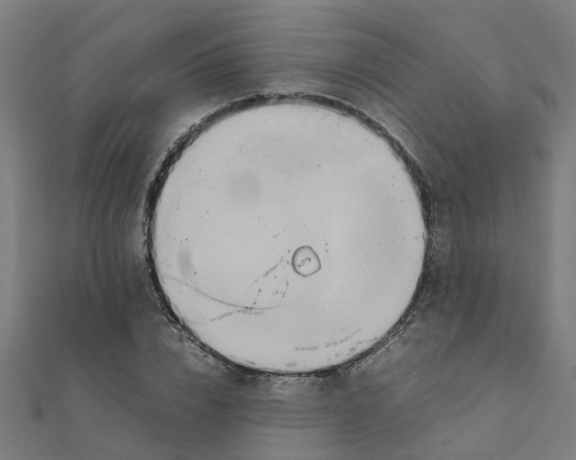 X0000111230832200907301244