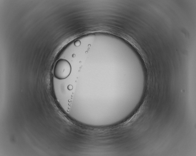 X0000111230834200907301244