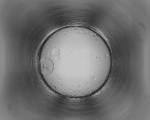 X0000111230835200907301244