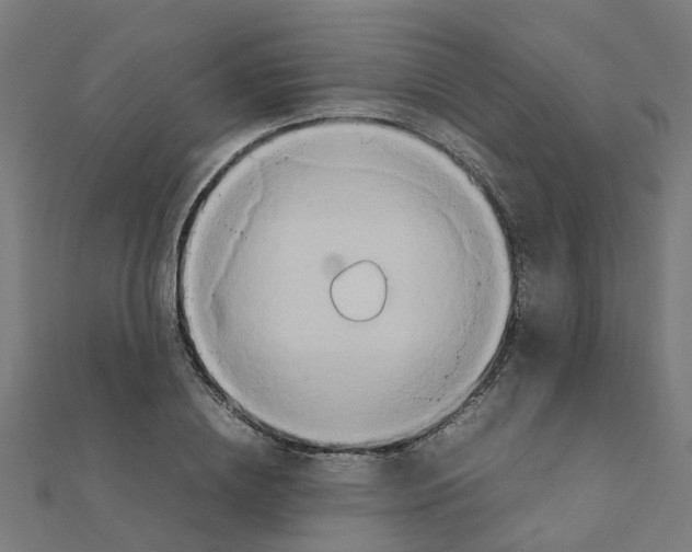 X0000111230836200907301244