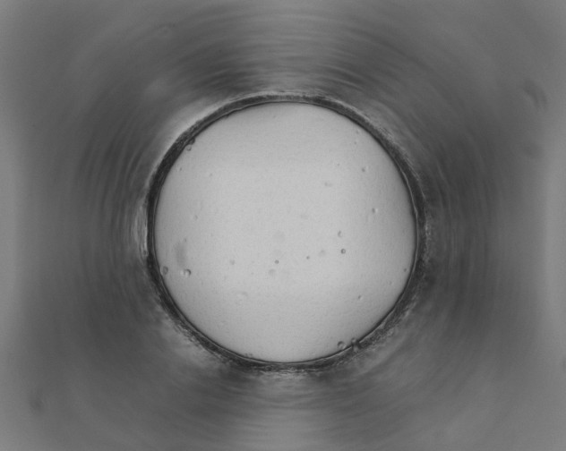 X0000111230838200907301244