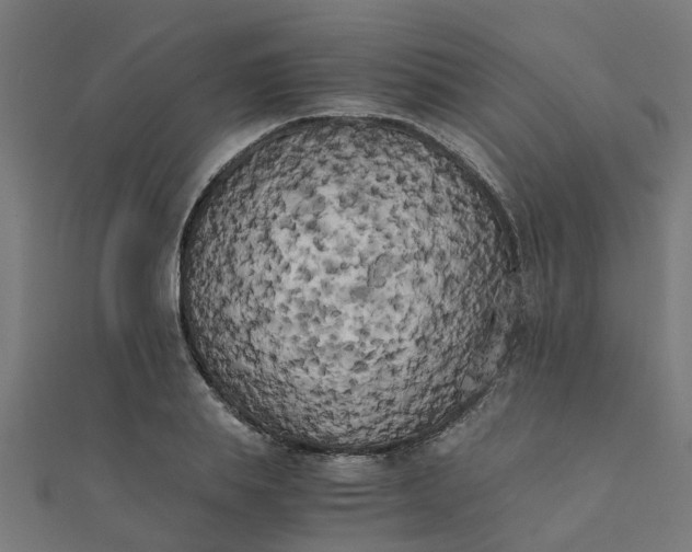 X0000111230839200907301244