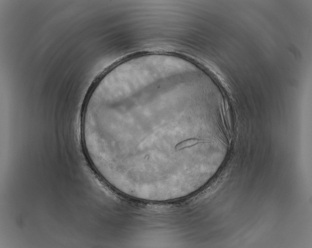 X0000111230840200907301244