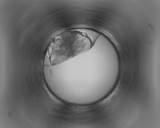 X0000111230841200907301244