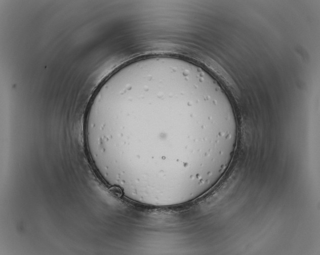 X0000111230842200907301244